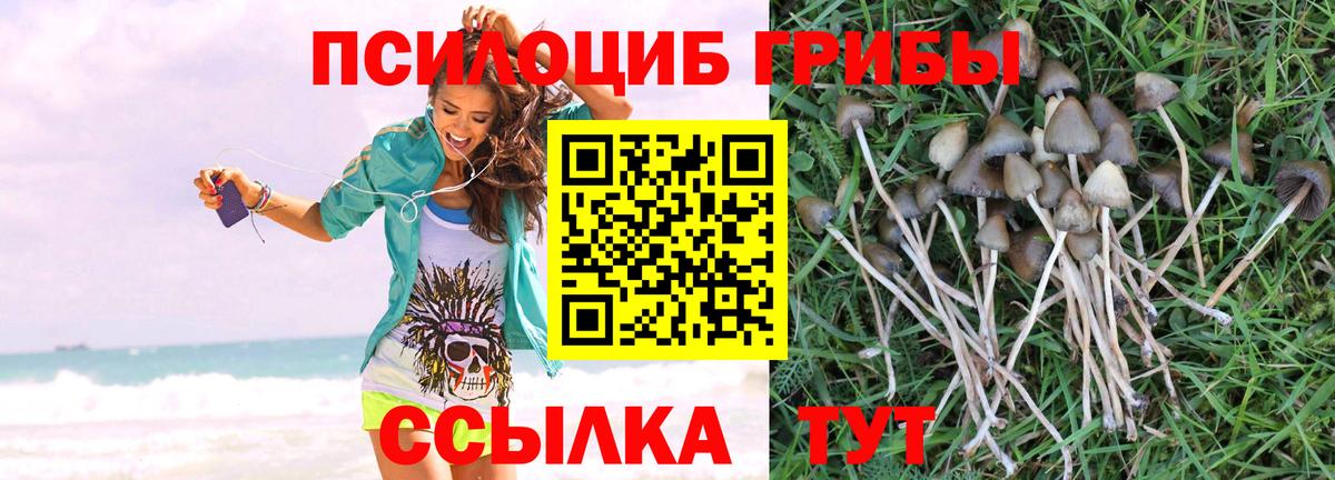 Галлюциногенные грибы Magic Shrooms  Вход с VPN  Бутурлиновка 